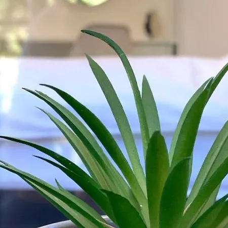 Hello Budget Free Parking & Wifi *