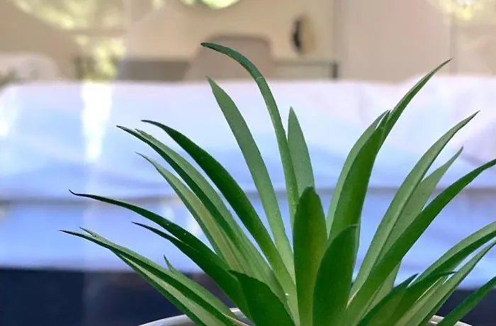 Hello Budget Free Parking & Wifi *